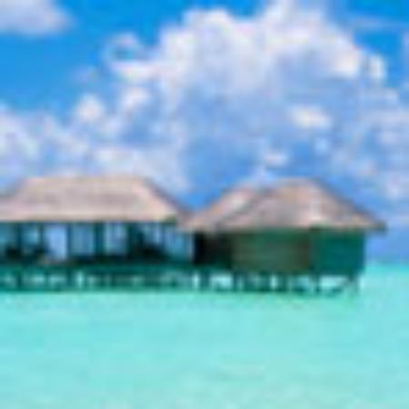 Deccan Darbar Punjabi Dhaba